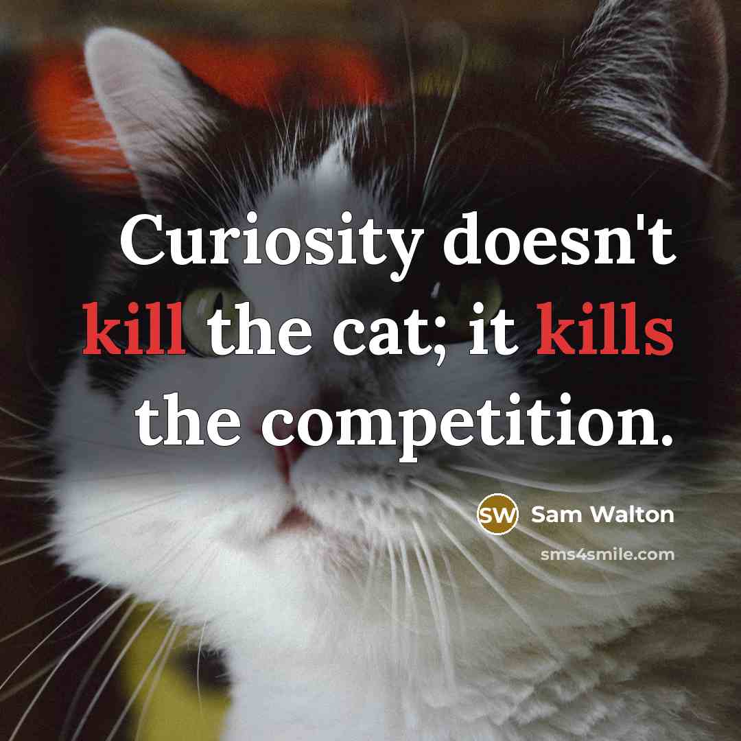 “Curiosity doesn't kill the cat; it kills the competition.” quote by Sam Walton