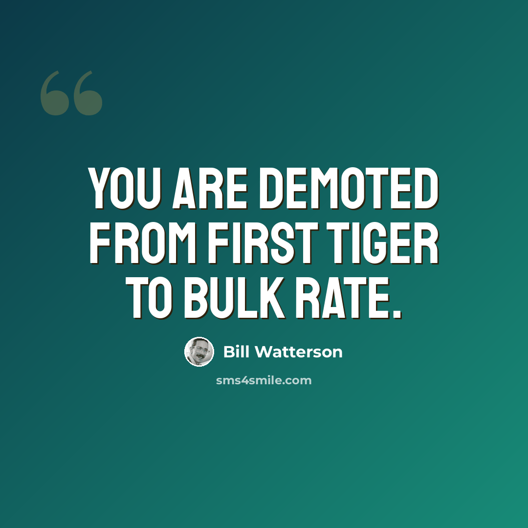 “You are demoted from First Tiger to bulk rate.” quote by Bill Watterson