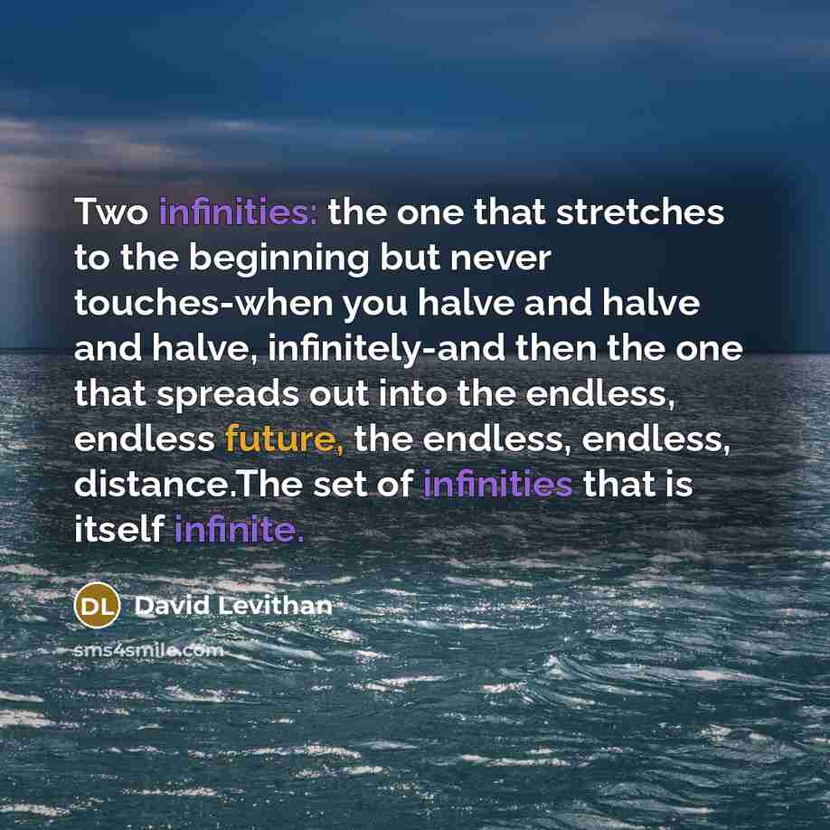 “Two infinities: the one that stretches to the beginning but never touches-when you halve and halve and halve, infinitely-and then the one that spreads out into the endless, endless future, the endless, endless, distance.The set of infinities that is itself infinite.” quote by David Levithan