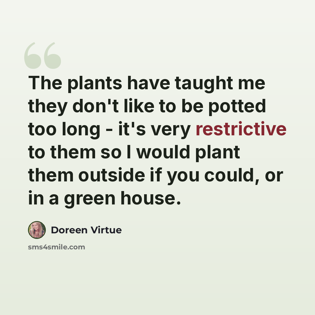 “The plants have taught me they don't like to be potted too long - it's very restrictive to them so I would plant them outside if you could, or in a green house.” quote by Doreen Virtue