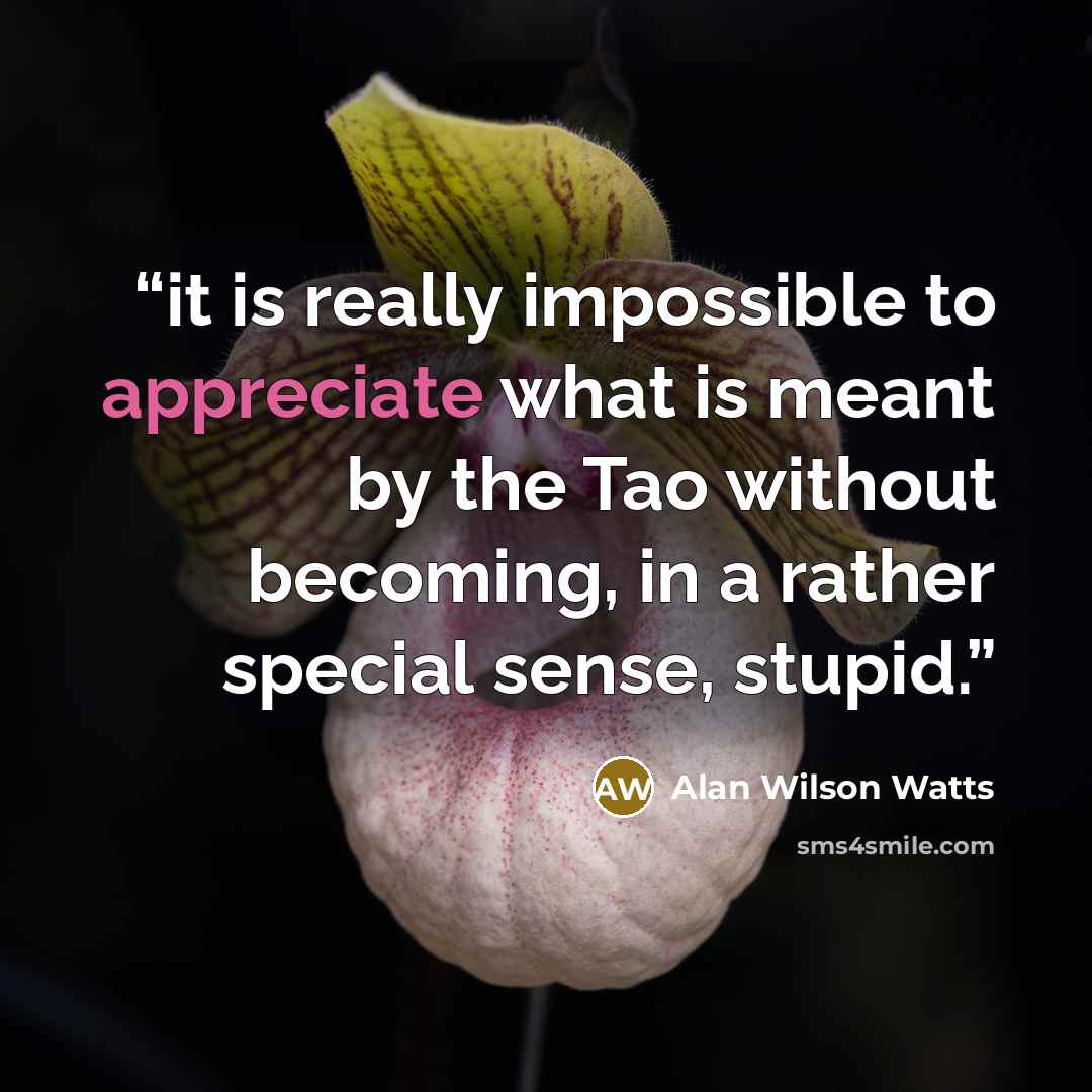 “it is really impossible to appreciate what is meant by the Tao without becoming, in a rather special sense, stupid.” quote by Alan Wilson Watts