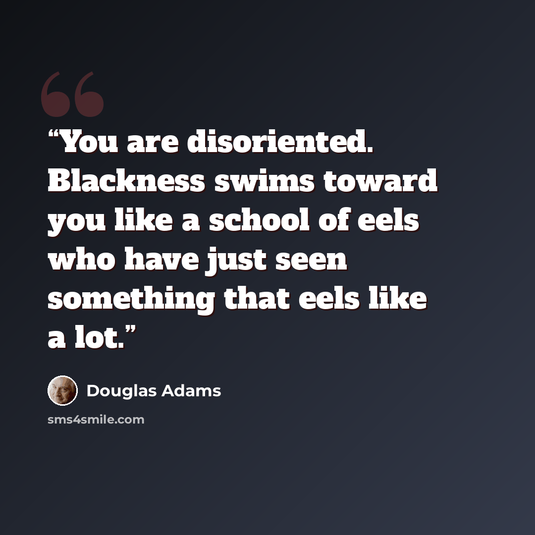 “You are disoriented. Blackness swims toward you like a school of eels who have just seen something that eels like a lot.” quote by Douglas Adams