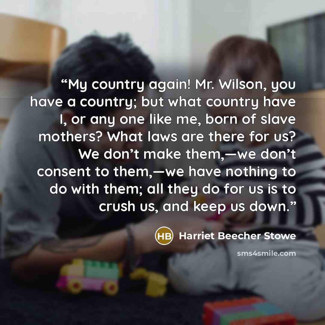 “My country again! Mr. Wilson, you have a country; but what country have I, or any one like me, born of slave mothers? What laws are there for us? We don’t make them,—we don’t consent to them,—we have nothing to do with them; all they do for us is to crush us, and keep us down.” quote by Harriet Beecher Stowe