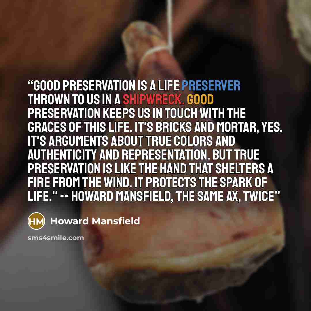 “Good preservation is a life preserver thrown to us in a shipwreck. Good preservation keeps us in touch with the graces of this life. It's bricks and mortar, yes. It's arguments about true colors and authenticity and representation. But true preservation is like the hand that shelters a fire from…” quote by Howard Mansfield