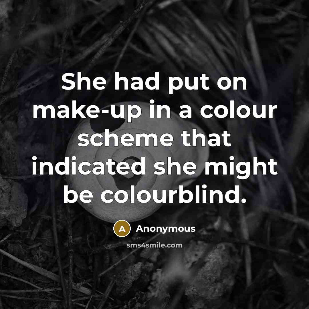 “She had put on make-up in a colour scheme that indicated she might be colourblind.” quote by Anonymous