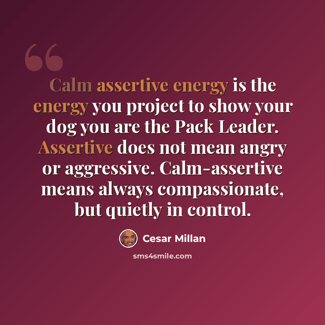 “Calm assertive energy is the energy you project to show your dog you are the Pack Leader. Assertive does not mean angry or aggressive. Calm-assertive means always compassionate, but quietly in control.” quote by Cesar Millan