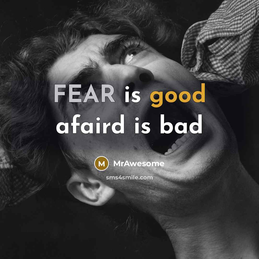 “FEAR is good afaird is bad” quote by MrAwesome