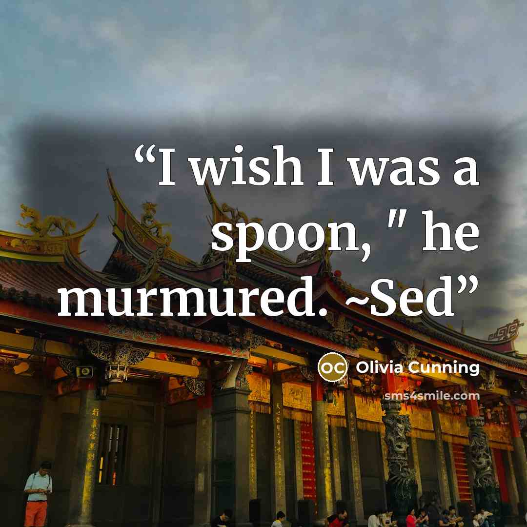 “I wish I was a spoon, " he murmured. ~Sed” quote by Olivia Cunning