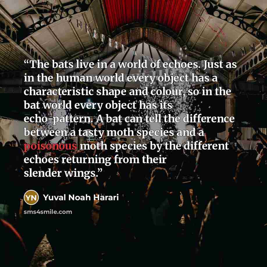 “The bats live in a world of echoes. Just as in the human world every object has a characteristic shape and colour, so in the bat world every object has its echo-pattern. A bat can tell the difference between a tasty moth species and a poisonous moth species by the different echoes returning from…” quote by Yuval Noah Harari