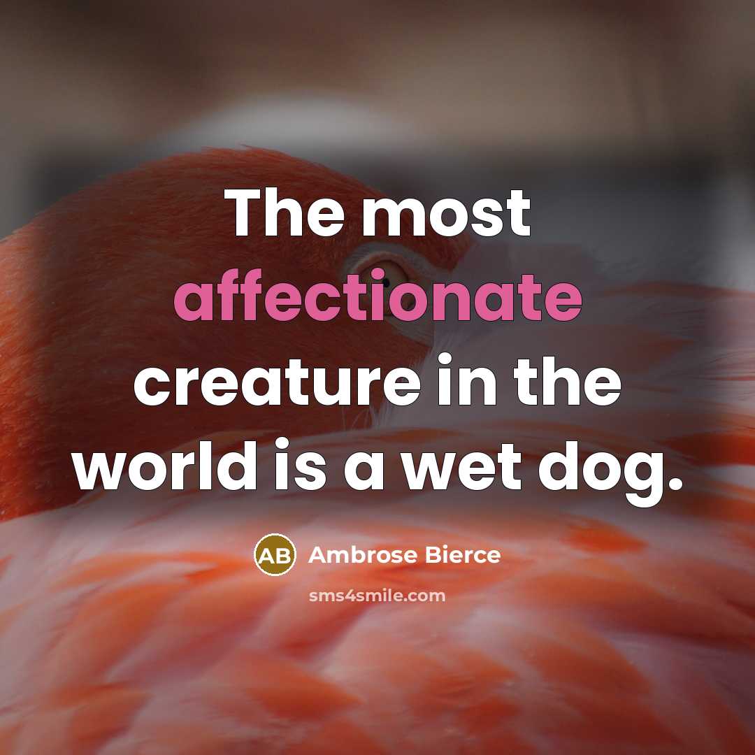 “The most affectionate creature in the world is a wet dog.” quote by Ambrose Bierce