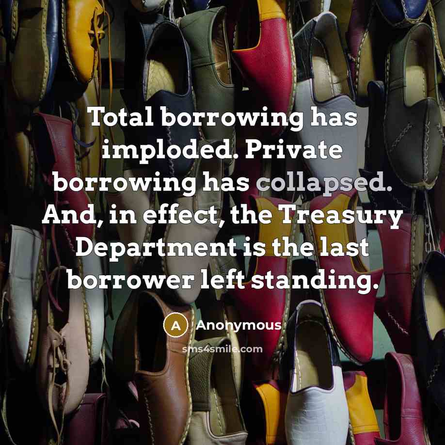 “Total borrowing has imploded. Private borrowing has collapsed. And, in effect, the Treasury Department is the last borrower left standing.” quote by Anonymous