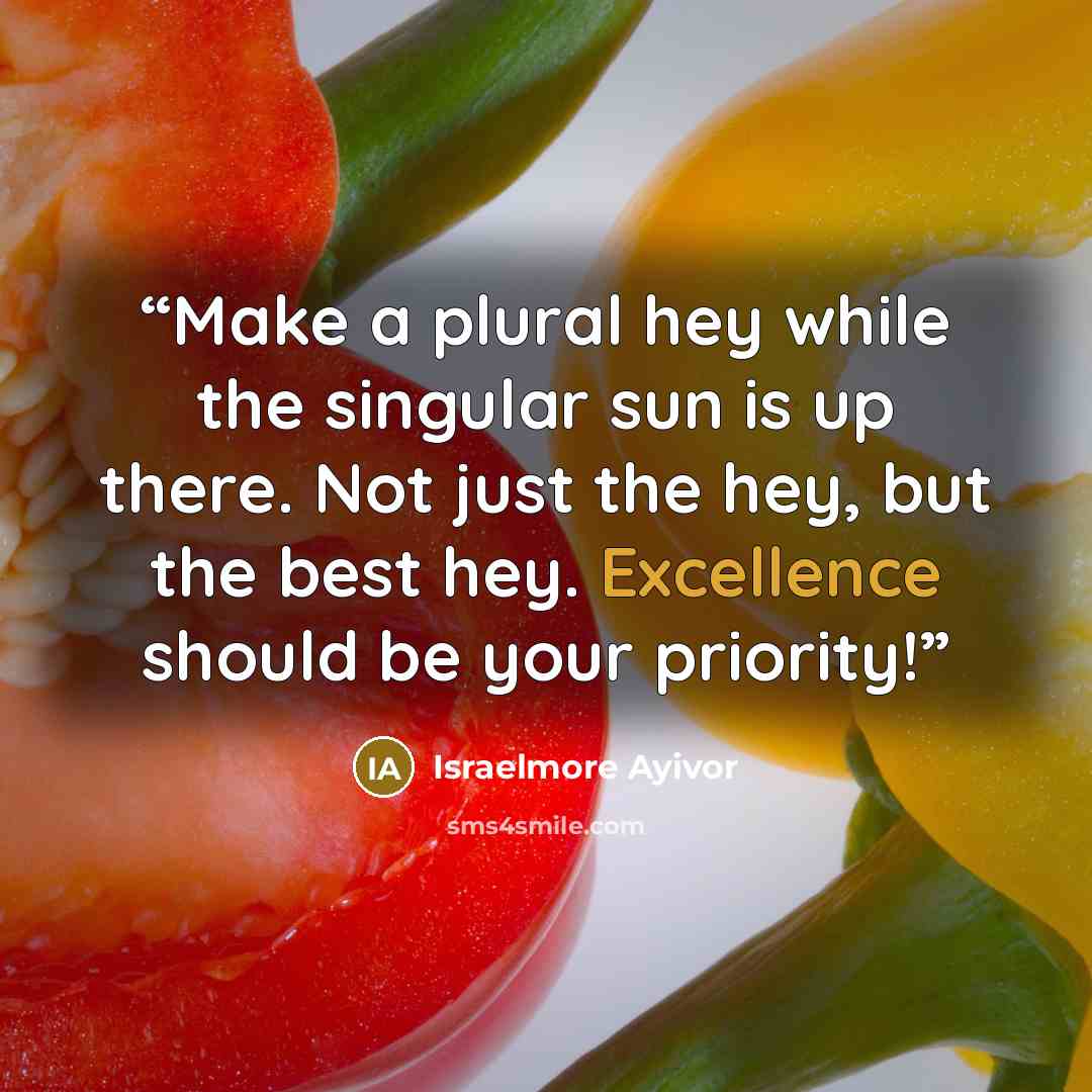 “Make a plural hey while the singular sun is up there. Not just the hey, but the best hey. Excellence should be your priority!” quote by Israelmore Ayivor