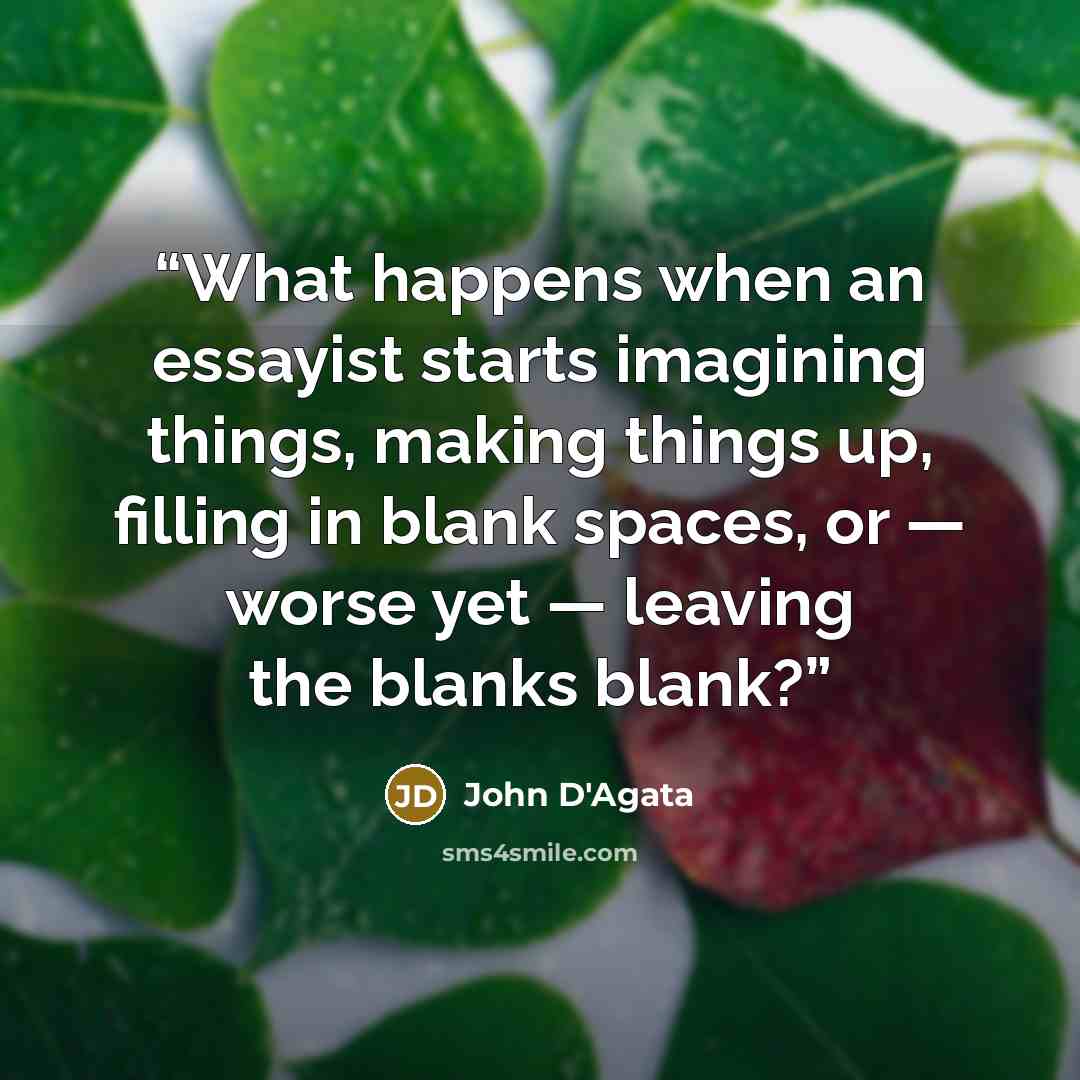 “What happens when an essayist starts imagining things, making things up, filling in blank spaces, or — worse yet — leaving the blanks blank?” quote by John D'Agata