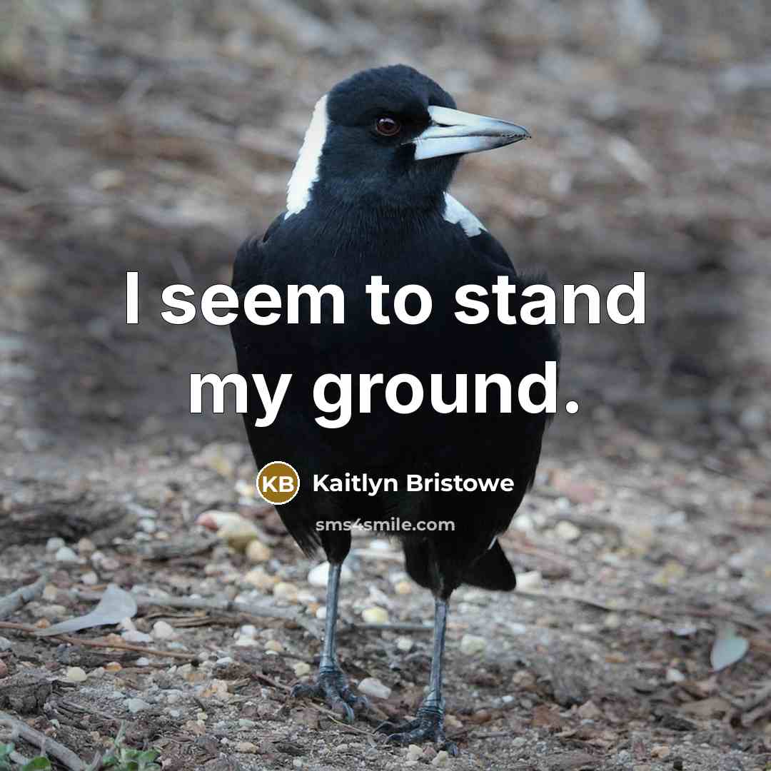 “I seem to stand my ground.” quote by Kaitlyn Bristowe
