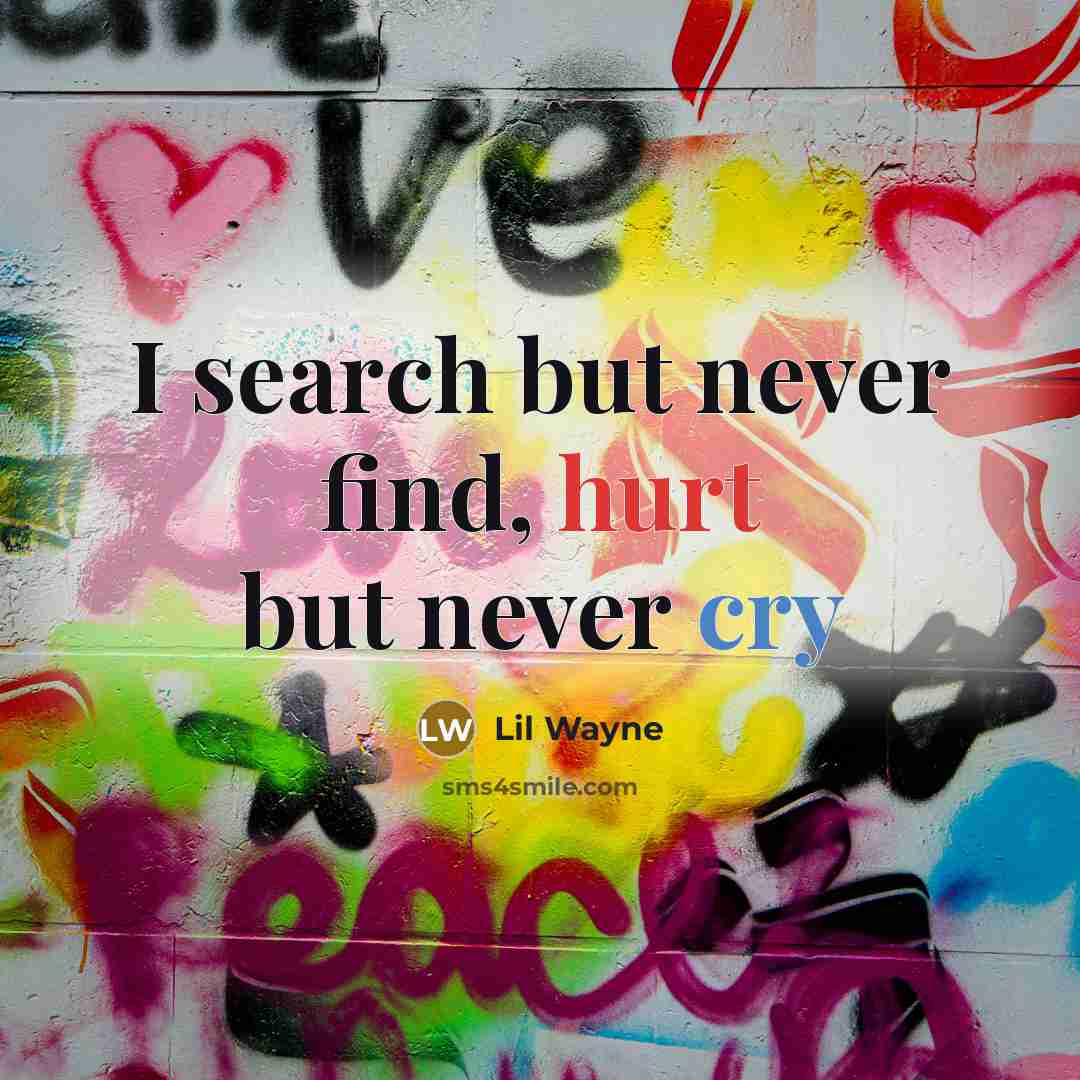 “I search but never find, hurt but never cry” quote by Lil Wayne