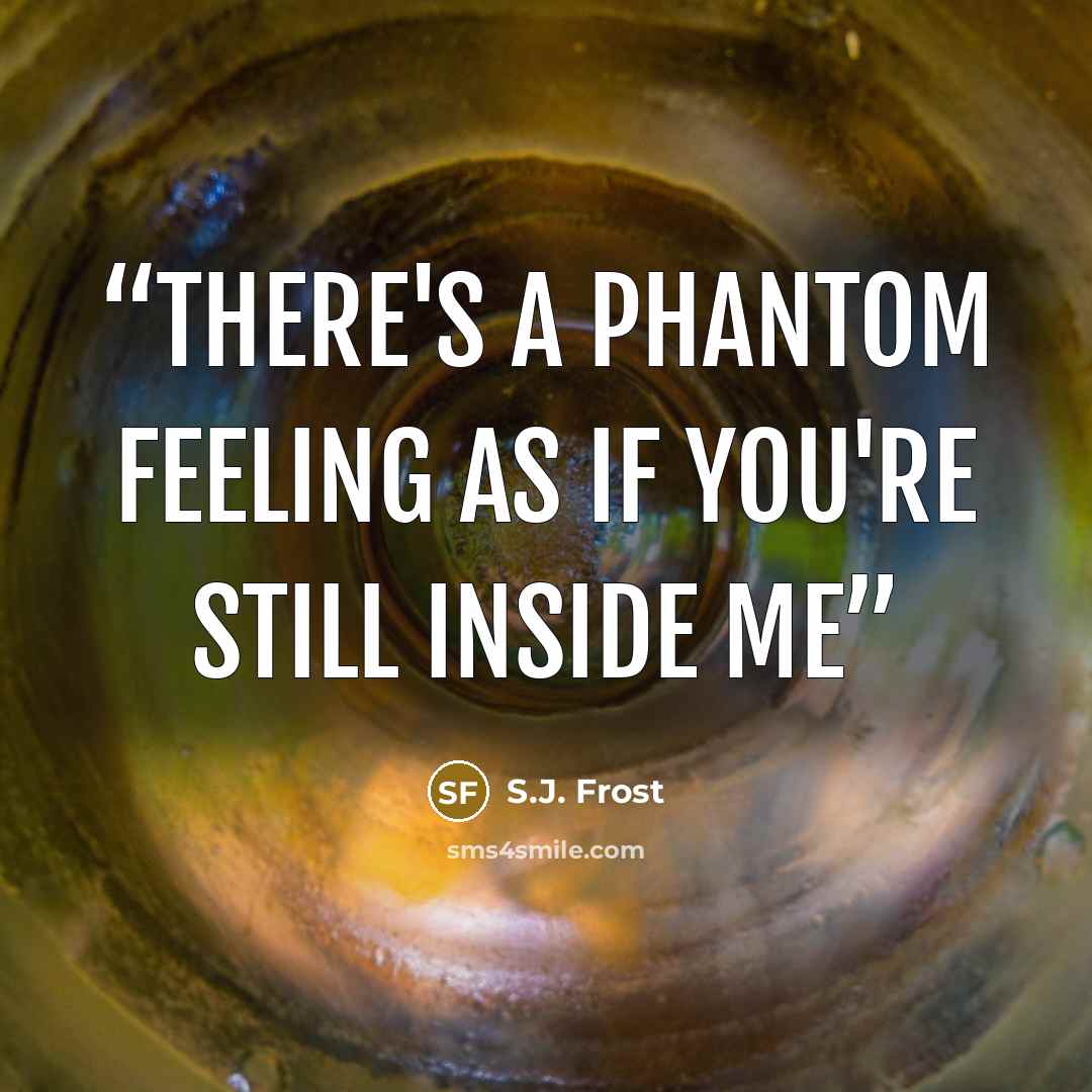 “There's a phantom feeling as if you're still inside me” quote by S.J. Frost