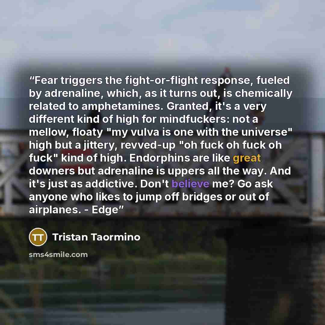 “Fear triggers the fight-or-flight response, fueled by adrenaline, which, as it turns out, is chemically related to amphetamines. Granted, it's a very different kind of high for mindfuckers: not a mellow, floaty "my vulva is one with the universe" high but a jittery, revved-up "oh fuck oh fuck oh…” quote by Tristan Taormino
