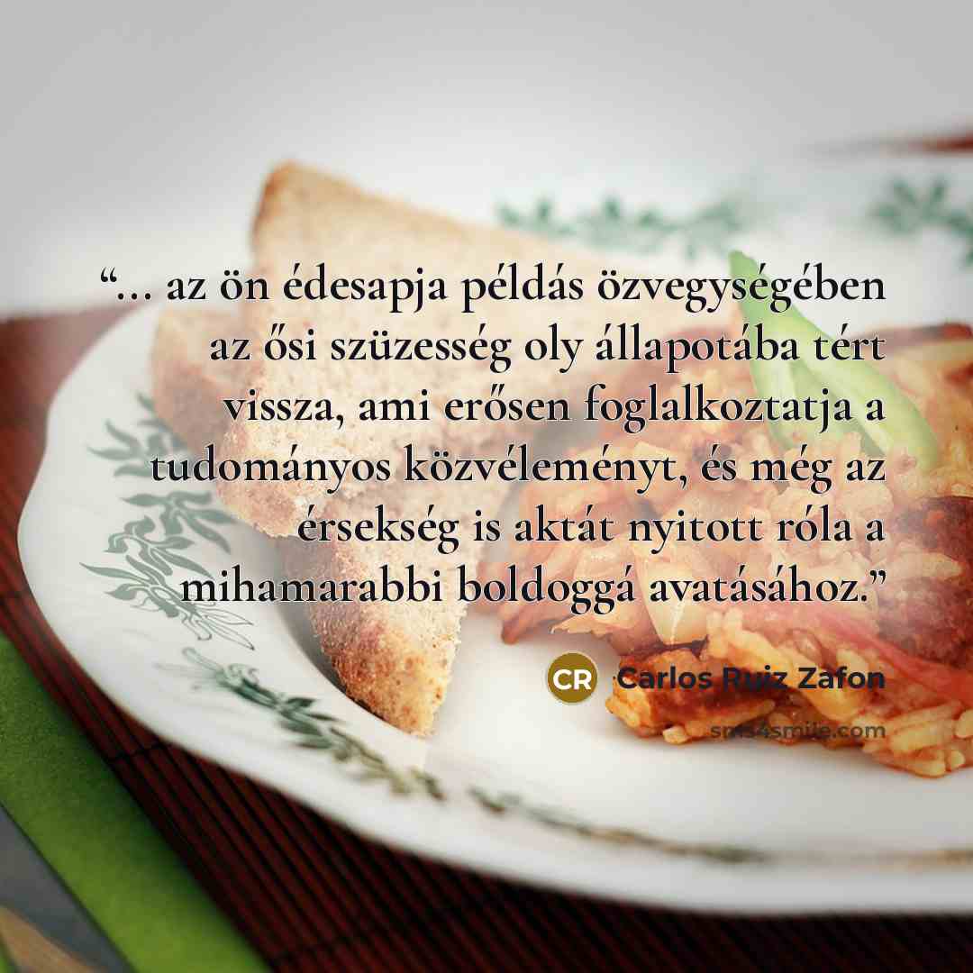 “... az ön édesapja példás özvegységében az ősi szüzesség oly állapotába tért vissza, ami erősen foglalkoztatja a tudományos közvéleményt, és még az érsekség is aktát nyitott róla a mihamarabbi boldoggá avatásához.” quote by Carlos Ruiz Zafón
