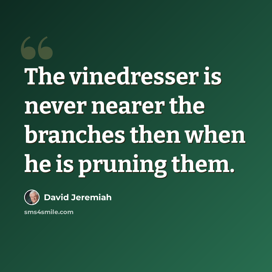 “The vinedresser is never nearer the branches then when he is pruning them.” quote by David Jeremiah