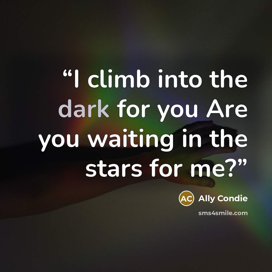 “I climb into the dark for you Are you waiting in the stars for me?” quote by Ally Condie