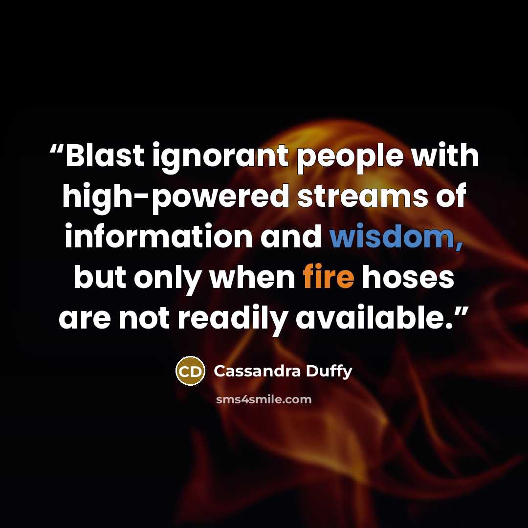 “Blast ignorant people with high-powered streams of information and wisdom, but only when fire hoses are not readily available.” quote by Cassandra Duffy