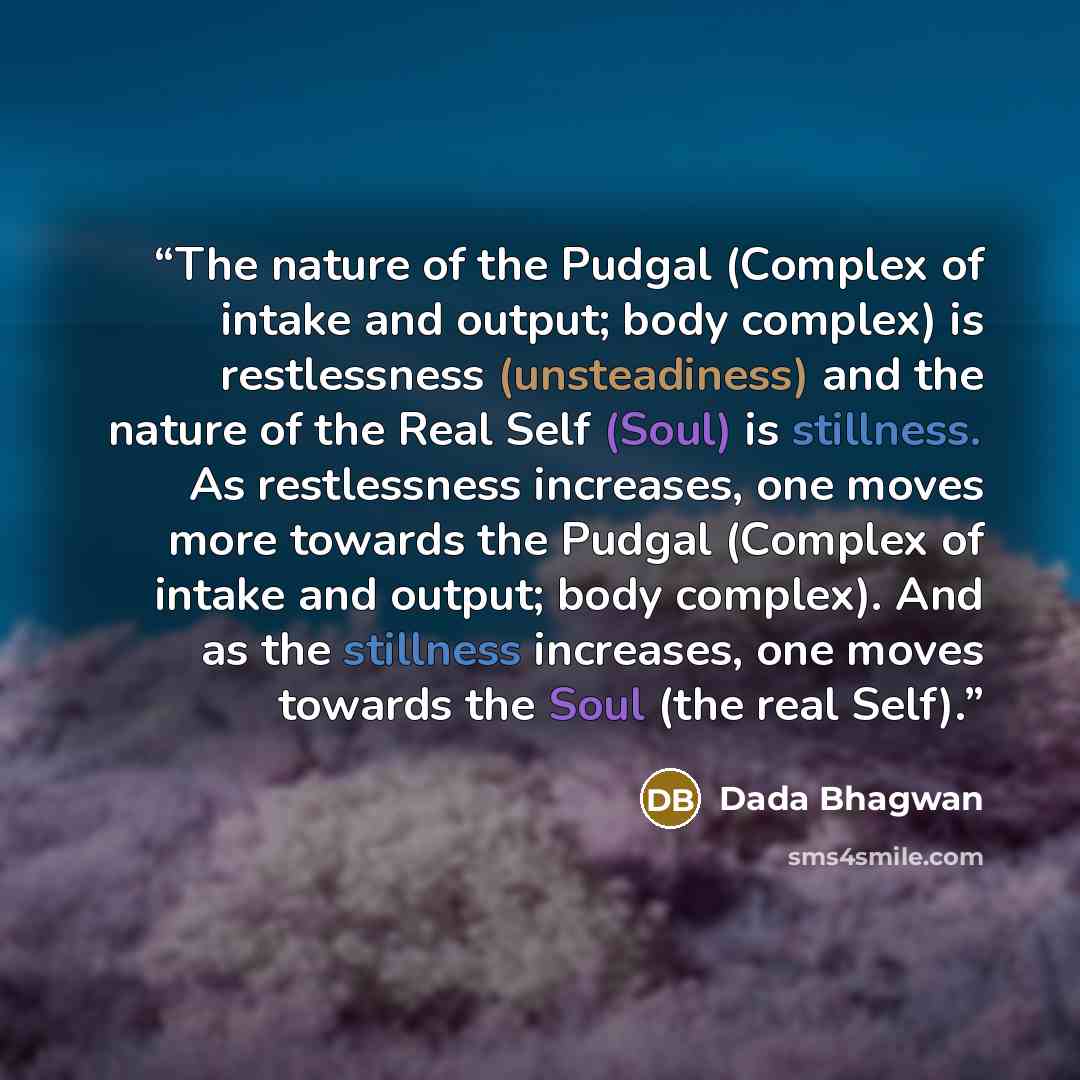 “The nature of the Pudgal (Complex of intake and output; body complex) is restlessness (unsteadiness) and the nature of the Real Self (Soul) is stillness. As restlessness increases, one moves more towards the Pudgal (Complex of intake and output; body complex). And as the stillness increases, one…” quote by Dada Bhagwan