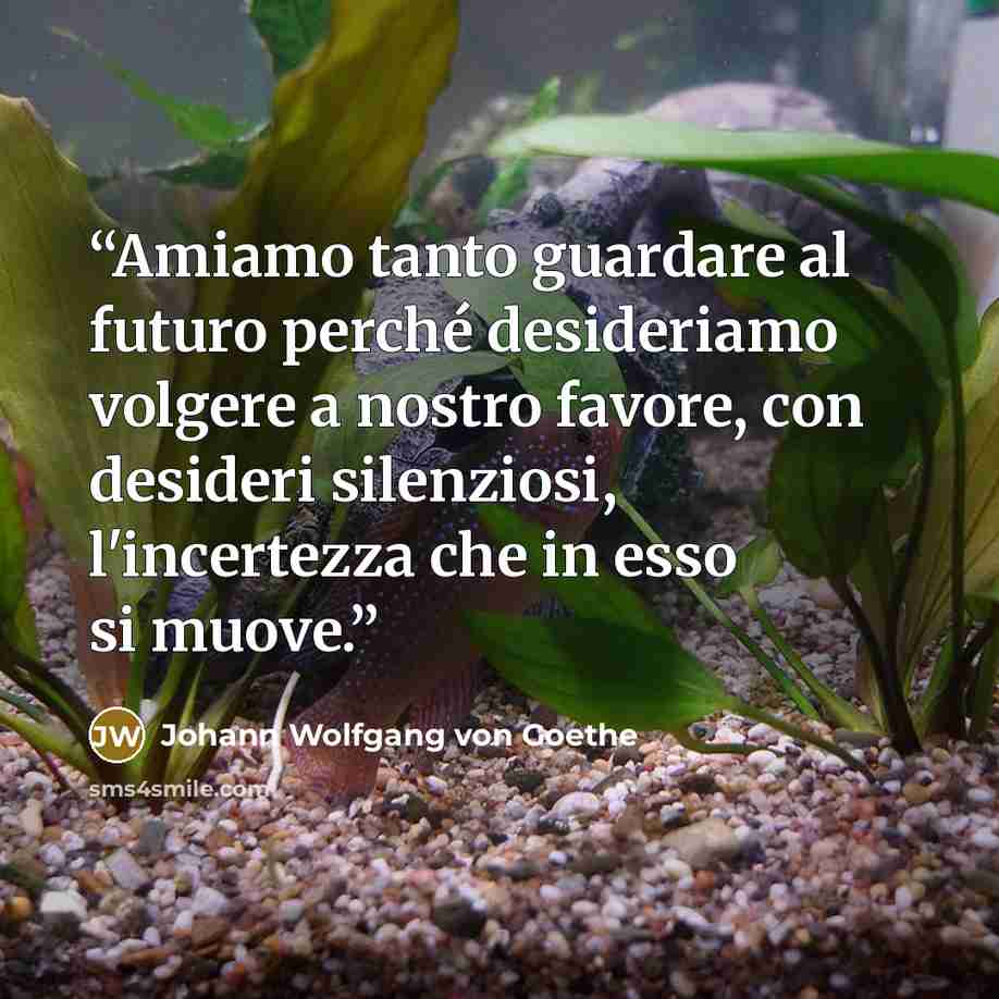 “Amiamo tanto guardare al futuro perché desideriamo volgere a nostro favore, con desideri silenziosi, l'incertezza che in esso si muove.” quote by Johann Wolfgang von Goethe