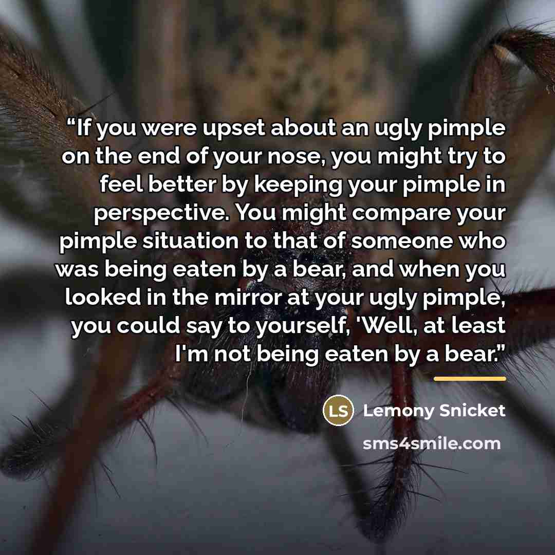 “If you were upset about an ugly pimple on the end of your nose, you might try to feel better by keeping your pimple in perspective. You might compare your pimple situation to that of someone who was being eaten by a bear, and when you looked in the mirror at your ugly pimple, you could say to…” quote by Lemony Snicket
