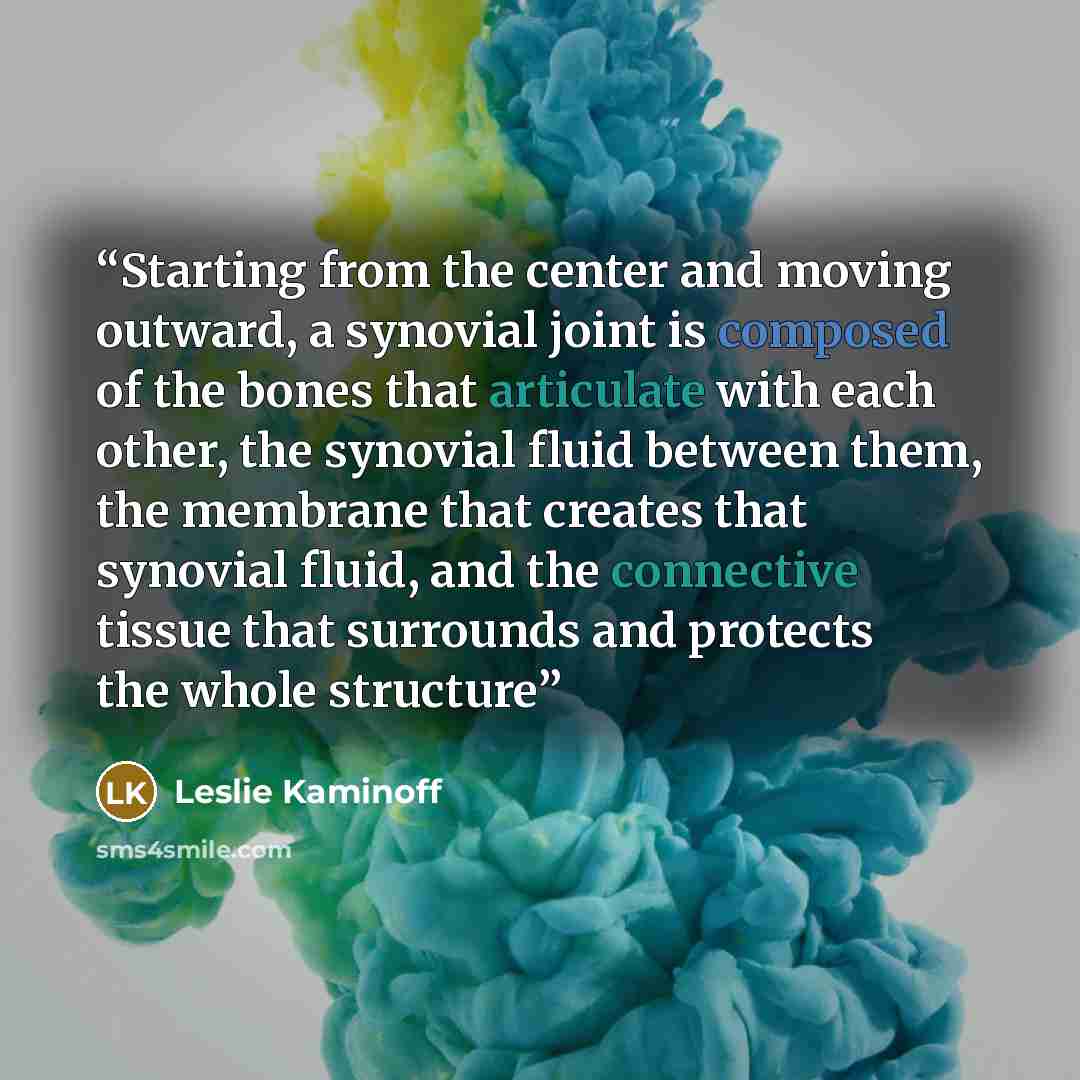 “Starting from the center and moving outward, a synovial joint is composed of the bones that articulate with each other, the synovial fluid between them, the membrane that creates that synovial fluid, and the connective tissue that surrounds and protects the whole structure” quote by Leslie Kaminoff