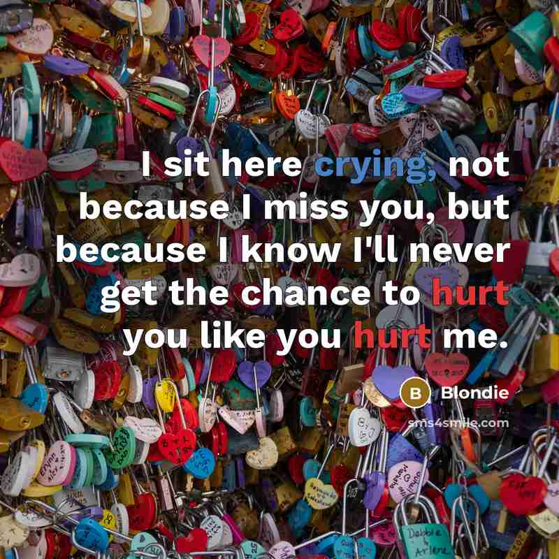 “I sit here crying, not because I miss you, but because I know I'll never get the chance to hurt you like you hurt me.” quote by Blondie