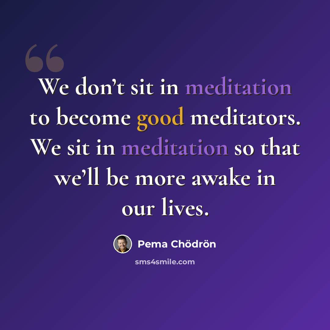 “We don’t sit in meditation to become good meditators. We sit in meditation so that we’ll be more awake in our lives.” quote by Pema Chodron
