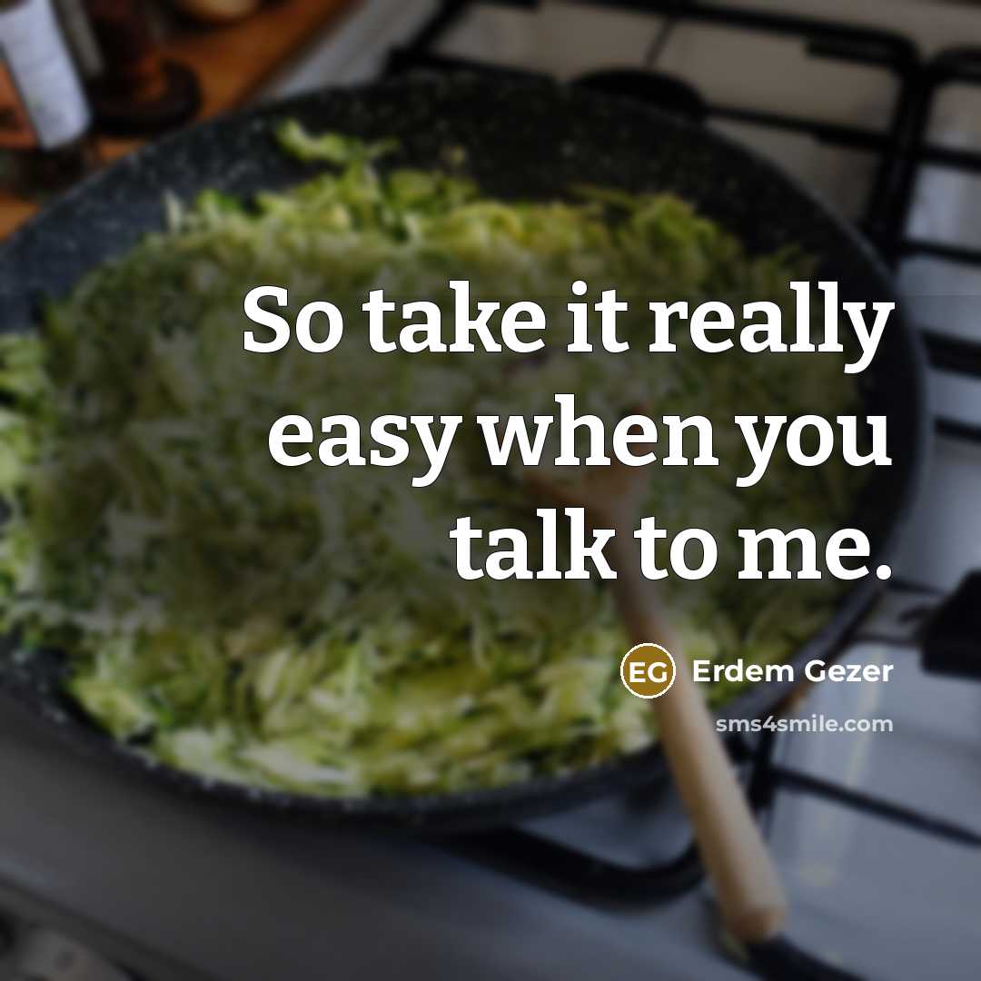 “So take it really easy when you talk to me.” quote by Erdem Gezer