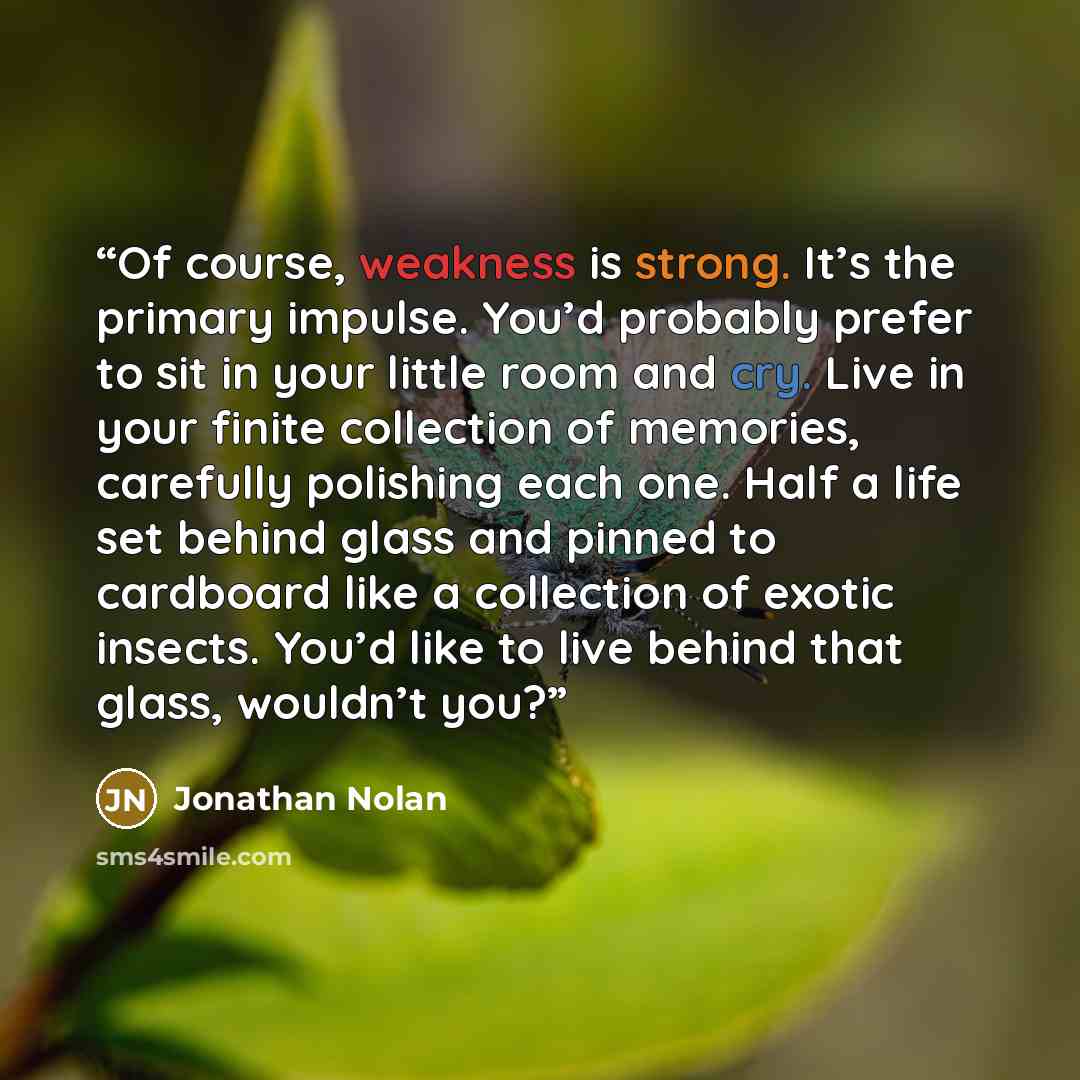 “Of course, weakness is strong. It’s the primary impulse. You’d probably prefer to sit in your little room and cry. Live in your finite collection of memories, carefully polishing each one. Half a life set behind glass and pinned to cardboard like a collection of exotic insects. You’d like to live…” quote by Jonathan Nolan