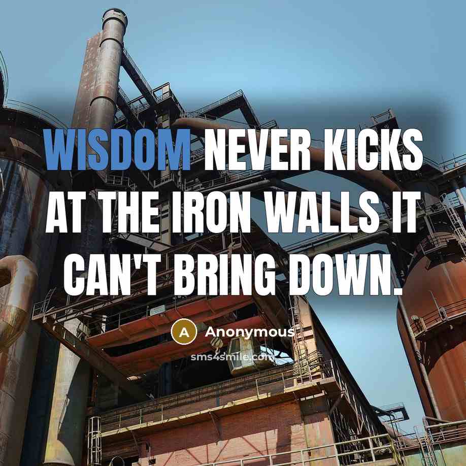 “Wisdom never kicks at the iron walls it can't bring down.” quote by Anonymous