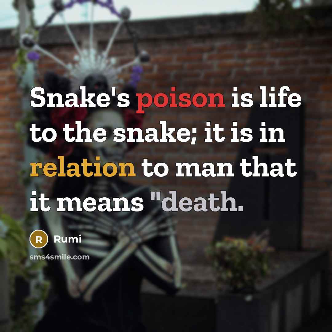 “Snake's poison is life to the snake; it is in relation to man that it means "death.” quote by Rumi