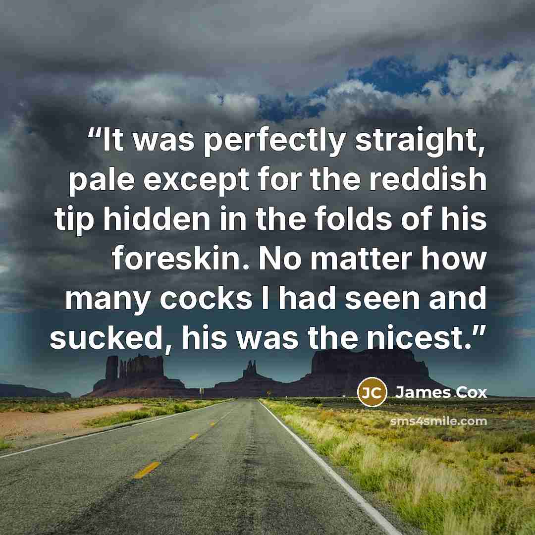 “It was perfectly straight, pale except for the reddish tip hidden in the folds of his foreskin. No matter how many cocks I had seen and sucked, his was the nicest.” quote by James Cox