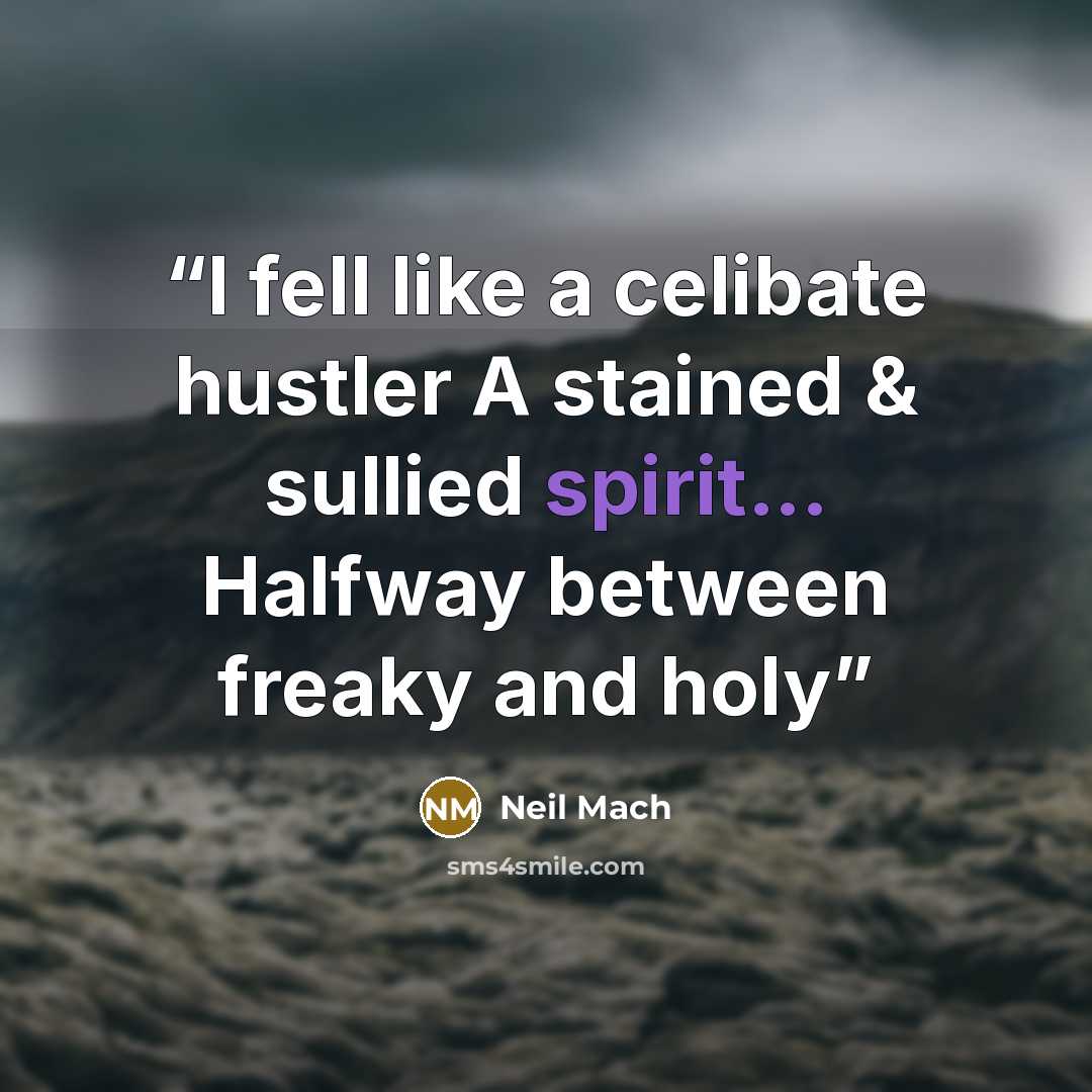 “I fell like a celibate hustler A stained & sullied spirit... Halfway between freaky and holy” quote by Neil Mach