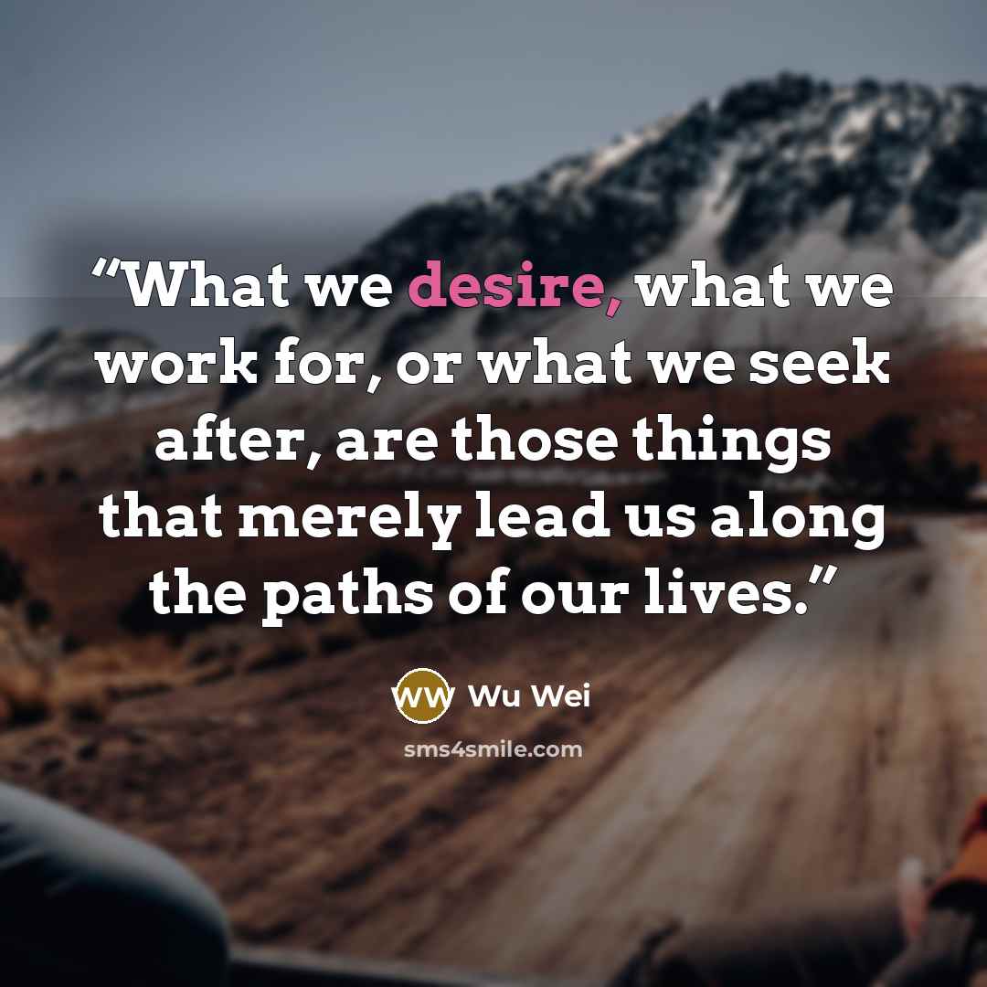 “What we desire, what we work for, or what we seek after, are those things that merely lead us along the paths of our lives.” quote by Wu Wei
