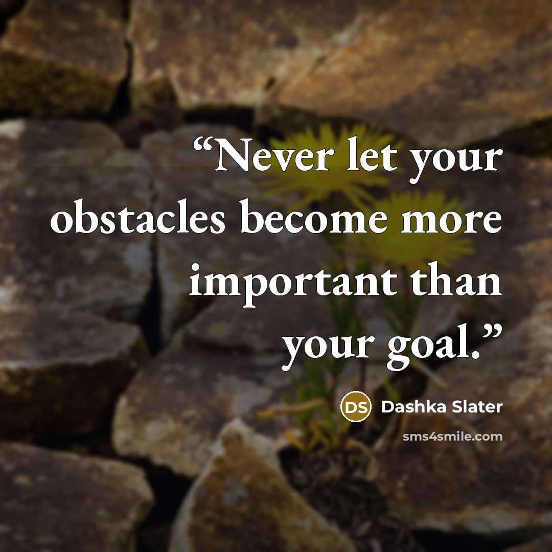 “Never let your obstacles become more important than your goal.” quote by Dashka Slater