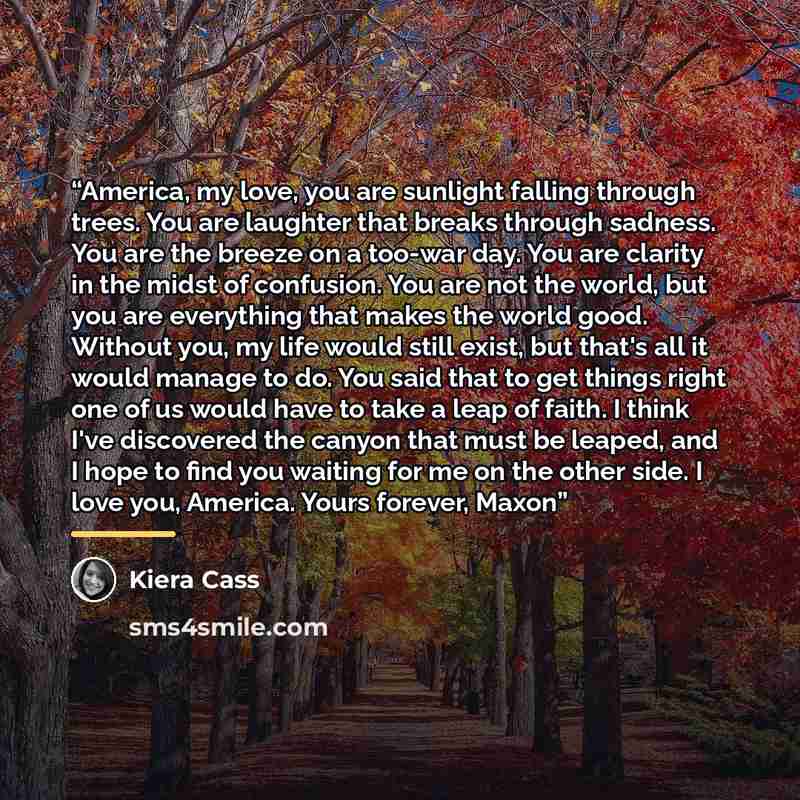 “America, my love, you are sunlight falling through trees. You are laughter that breaks through sadness. You are the breeze on a too-war day. You are clarity in the midst of confusion. You are not the world, but you are everything that makes the world good. Without you, my life would still exist…” quote by Kiera Cass