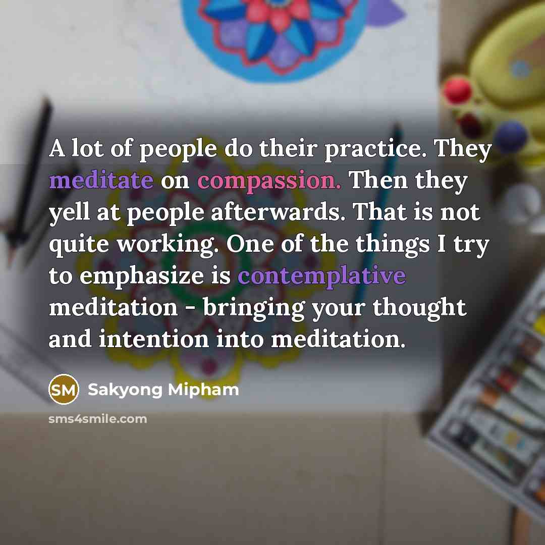 “A lot of people do their practice. They meditate on compassion. Then they yell at people afterwards. That is not quite working. One of the things I try to emphasize is contemplative meditation - bringing your thought and intention into meditation.” quote by Sakyong Mipham