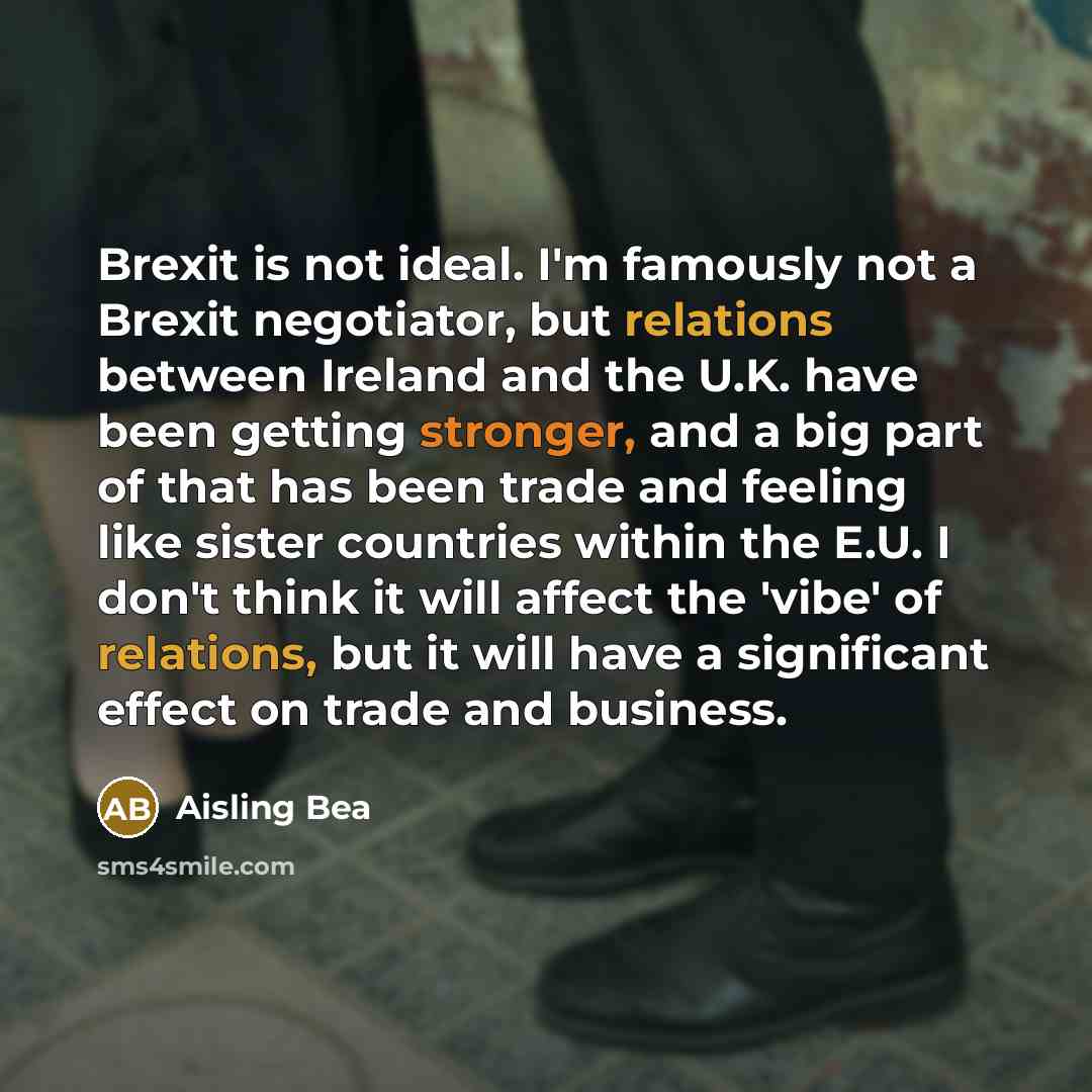 “Brexit is not ideal. I'm famously not a Brexit negotiator, but relations between Ireland and the U.K. have been getting stronger, and a big part of that has been trade and feeling like sister countries within the E.U. I don't think it will affect the 'vibe' of relations, but it will have a…” quote by Aisling Bea