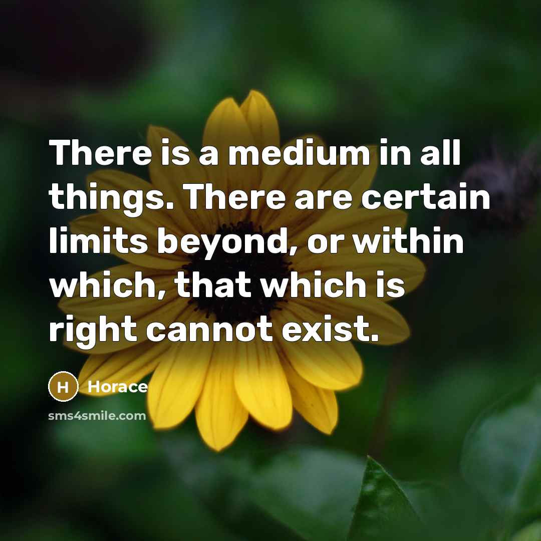 “There is a medium in all things. There are certain limits beyond, or within which, that which is right cannot exist.” quote by Horace