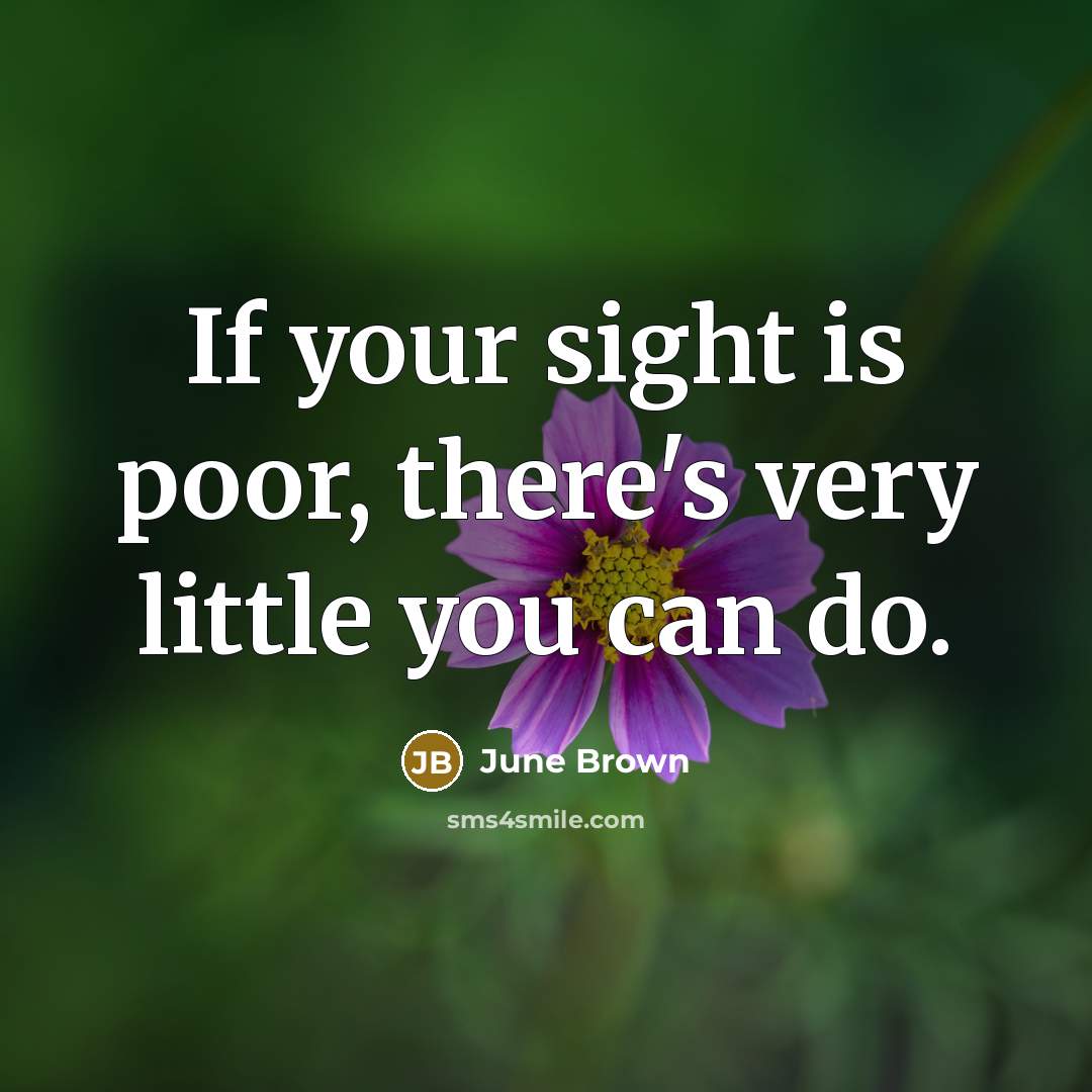 “If your sight is poor, there's very little you can do.” quote by June Brown