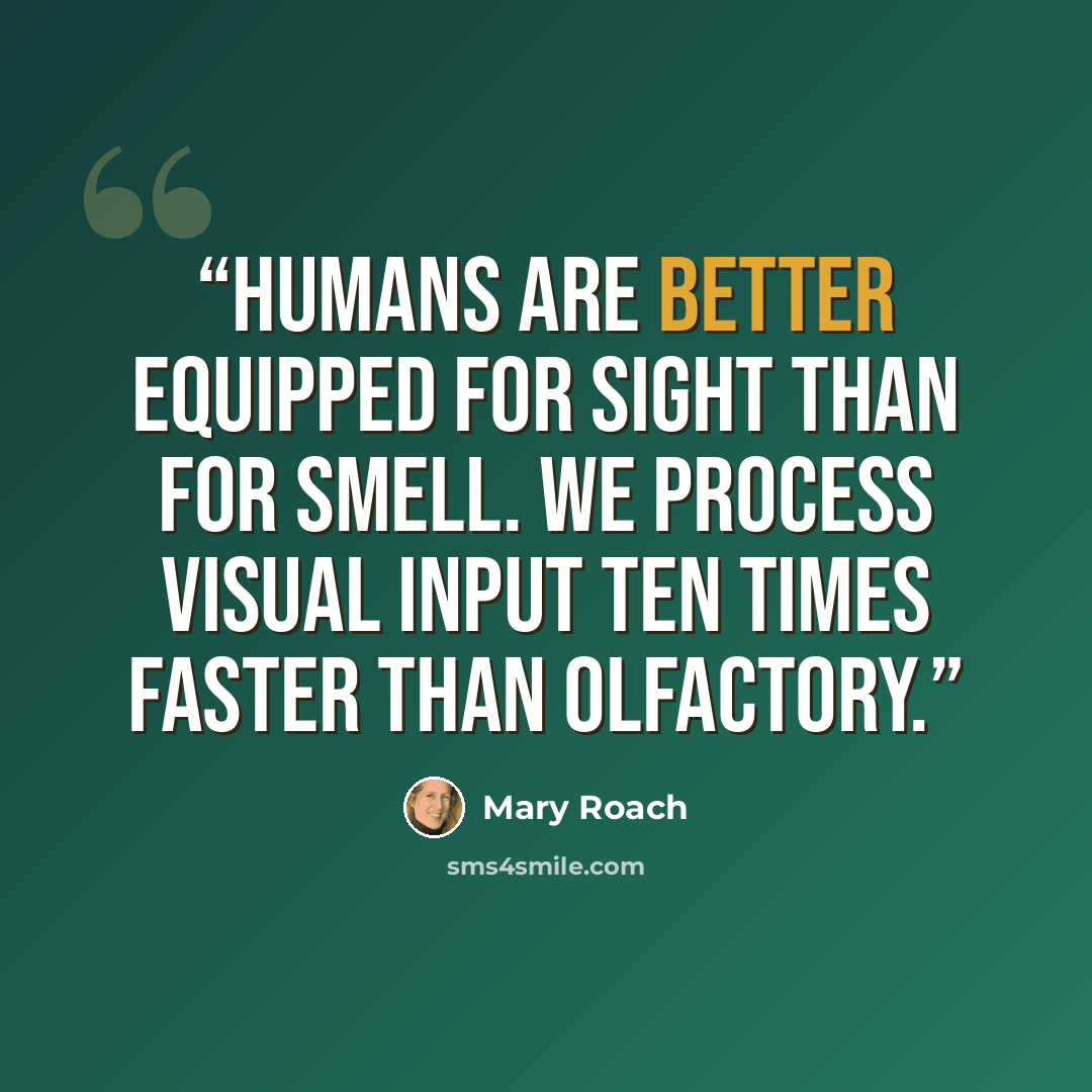 “Humans are better equipped for sight than for smell. We process visual input ten times faster than olfactory.” quote by Mary Roach