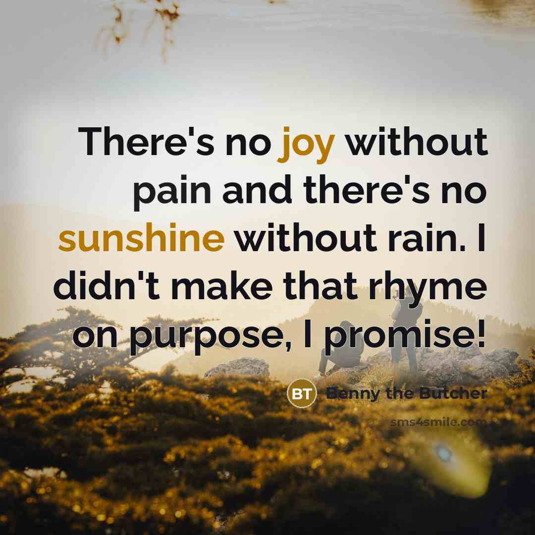“There's no joy without pain and there's no sunshine without rain. I didn't make that rhyme on purpose, I promise!” quote by Benny the Butcher