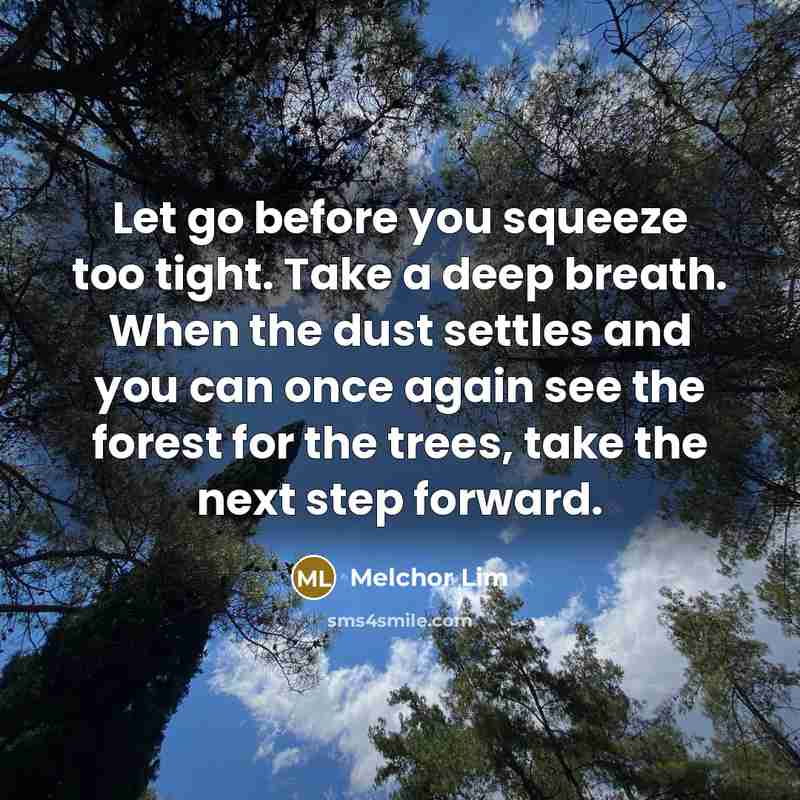 “Let go before you squeeze too tight. Take a deep breath. When the dust settles and you can once again see the forest for the trees, take the next step forward.” quote by Melchor Lim