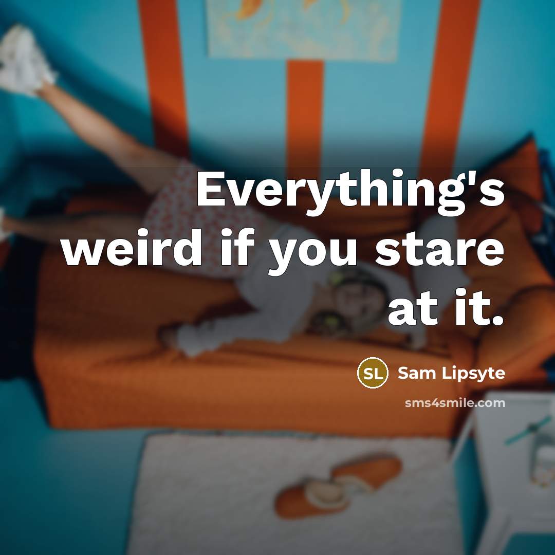 “Everything's weird if you stare at it.” quote by Sam Lipsyte