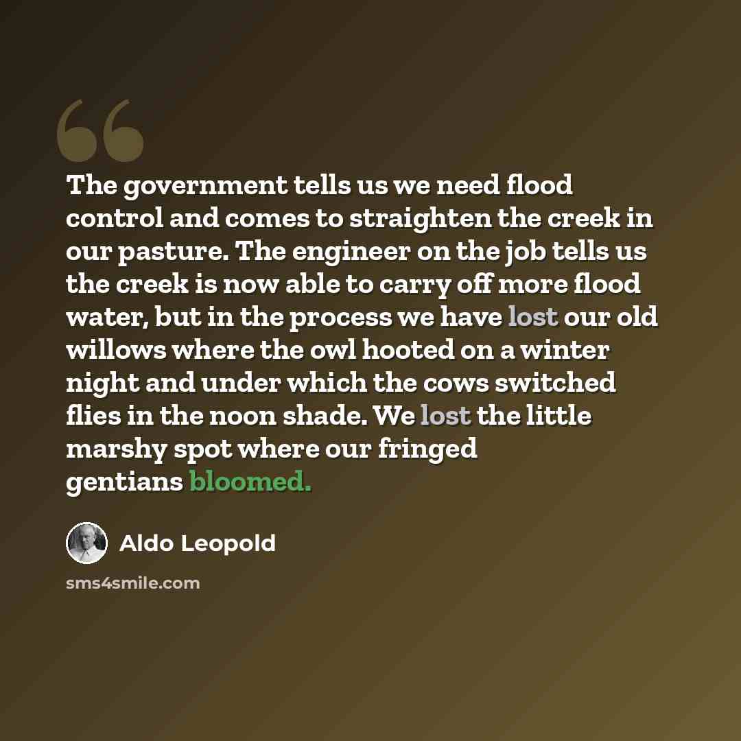 “The government tells us we need flood control and comes to straighten the creek in our pasture. The engineer on the job tells us the creek is now able to carry off more flood water, but in the process we have lost our old willows where the owl hooted on a winter night and under which the cows…” quote by Aldo Leopold