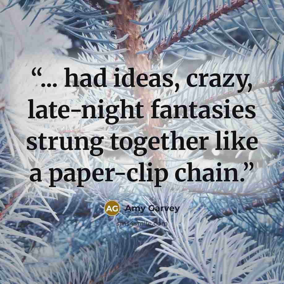“... had ideas, crazy, late-night fantasies strung together like a paper-clip chain.” quote by amy garvey